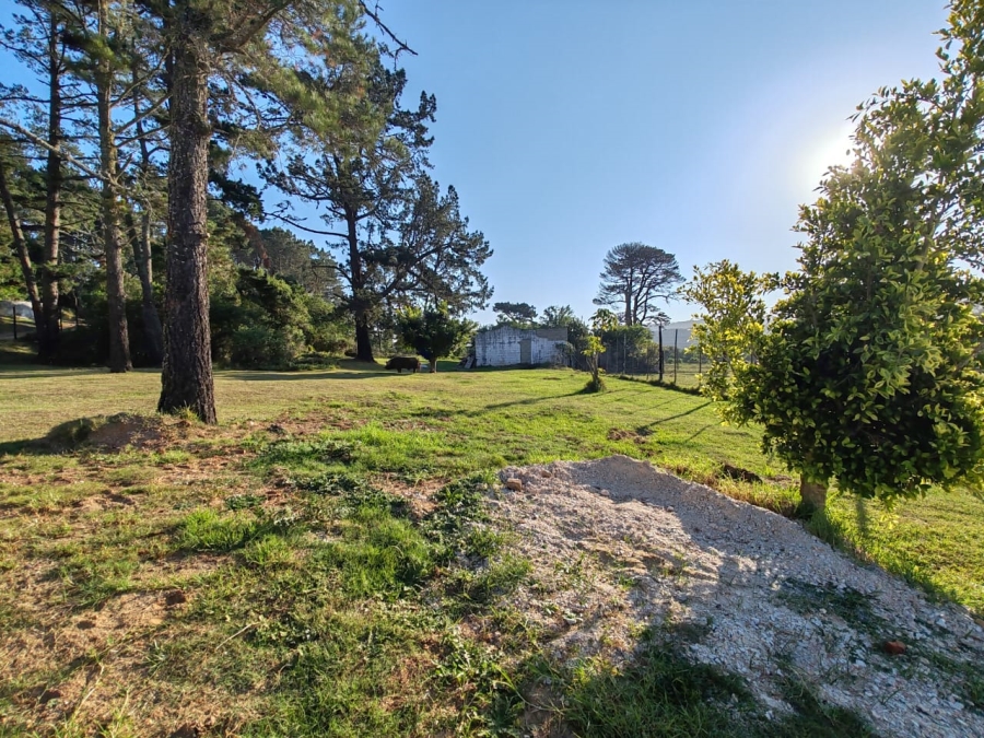 Commercial Property for Sale in Colleen Glen Eastern Cape
